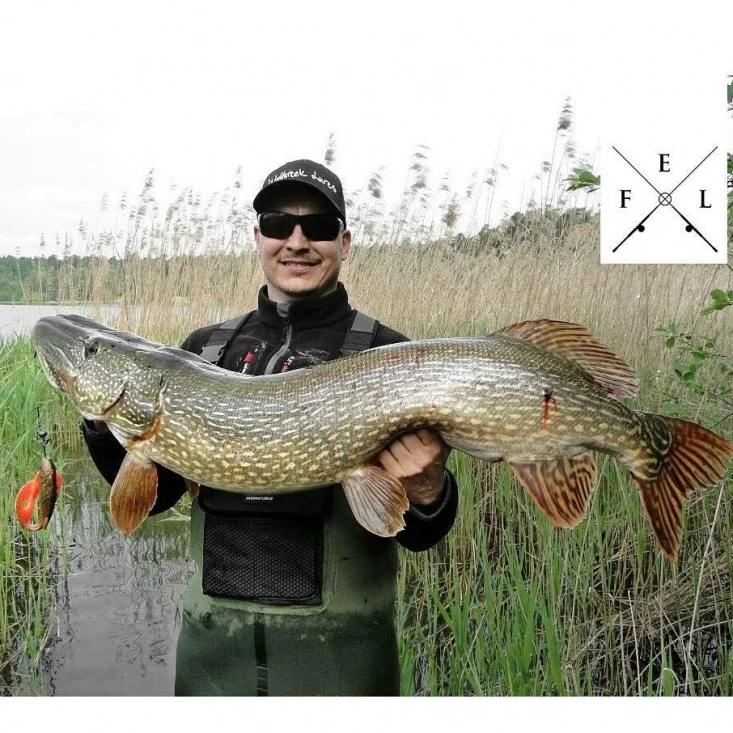 Eastfield Wingman Curly 23cm, 77g 2 Eastfield Wingman Curly 23cm, 77g – Bild 2