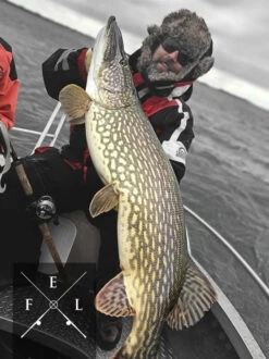 Eastfield Wingman Curly 23cm, 77g 7 Eastfield Wingman Curly 23cm, 77g -Angelbedarf Geschäft wingman curlr 3