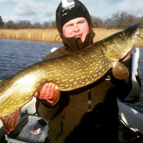 Eastfield Wingman Curly 23cm, 77g 4 Eastfield Wingman Curly 23cm, 77g – Bild 4